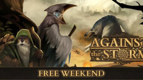Cover zu Against the Storm